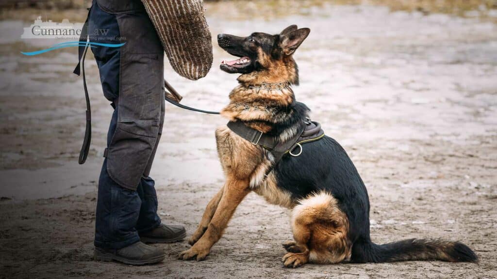 Do You Need a Dog Bite Attorney? Edmonds, WA Personal Injury Lawyer